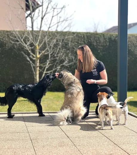 Susanne mit mehreren Hunden während der Ausbildung