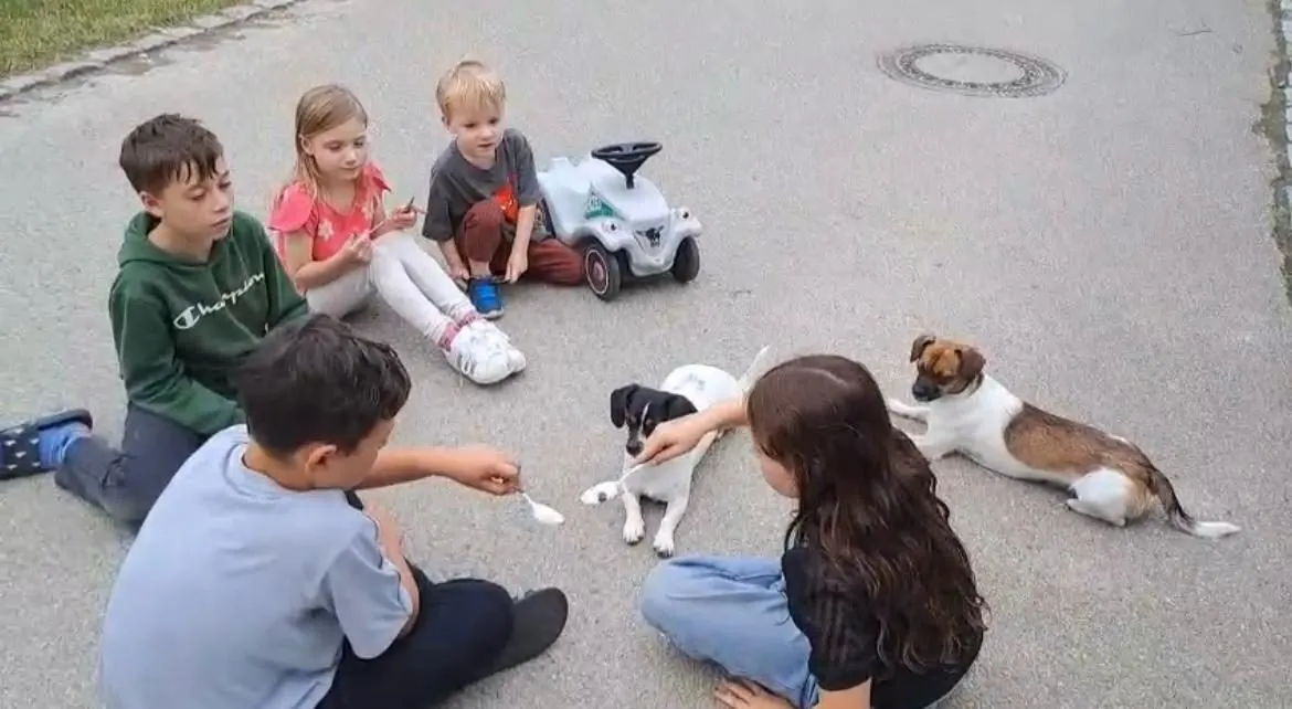 Kindergruppe bei einer Einheit mit den Hunden